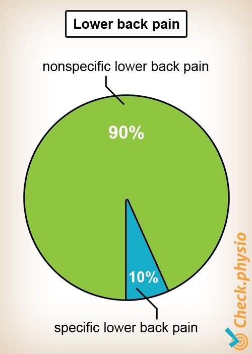 Rücken niedrige Rückenschmerzen unspezifisch spezifisch Kreisdiagramm