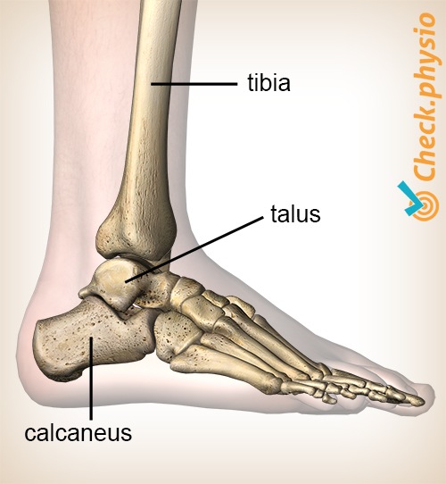 Knöchel hinteres Impingement