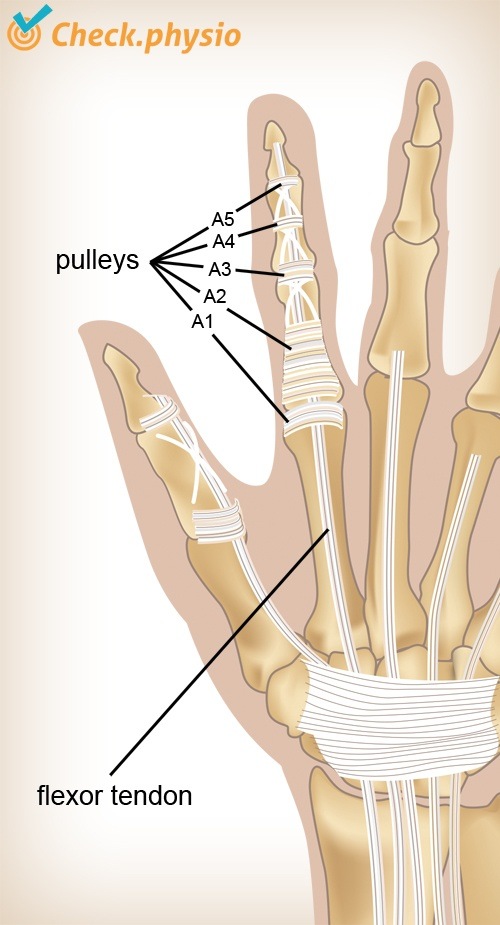 hand Finger Seilzüge