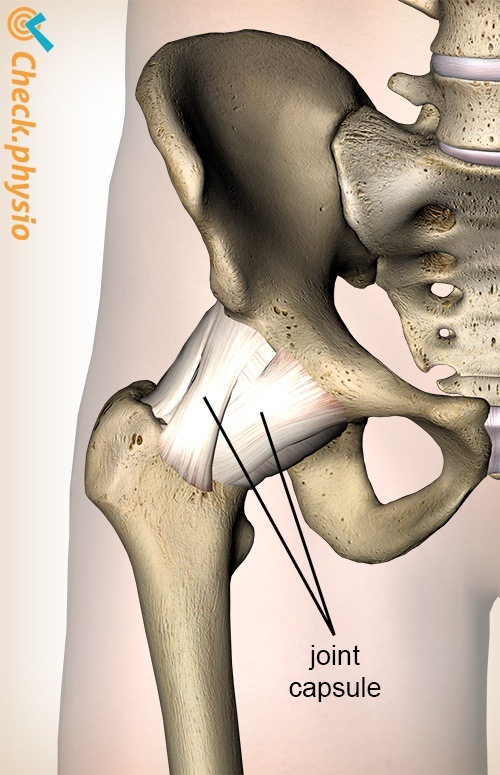 Hüftgelenkkapsel